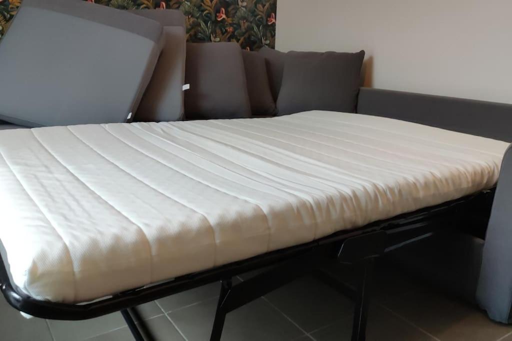 شقة Superbe Duplex « Le Grevy » دول المظهر الخارجي الصورة